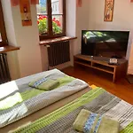 Pod Hradbami Guest house 3*