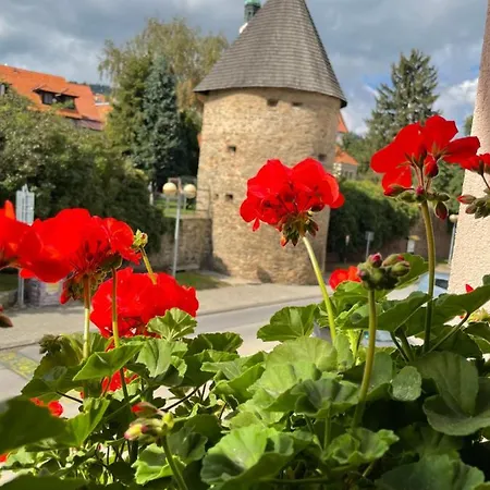 Gasthof Pod Hradbami