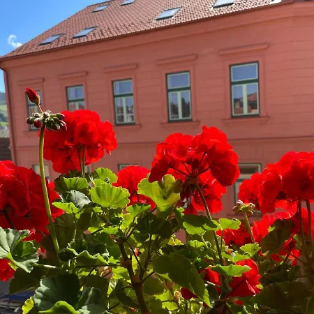 Guest house Pod Hradbami