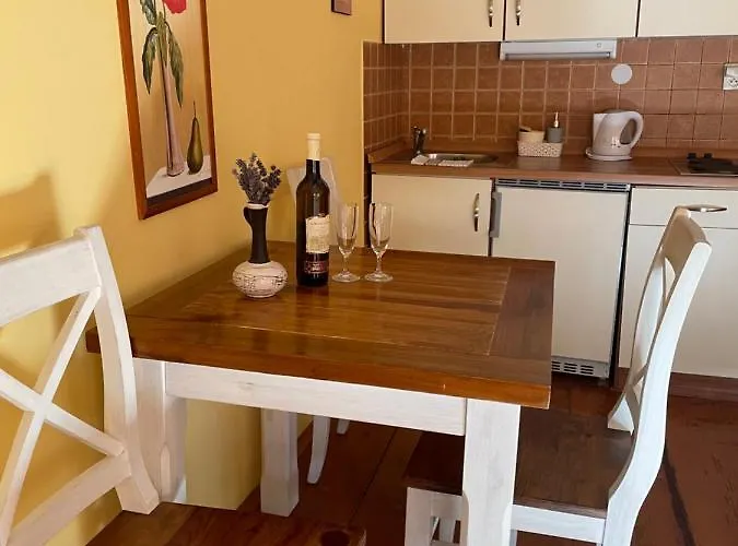 Pod Hradbami ゲストハウス 3*