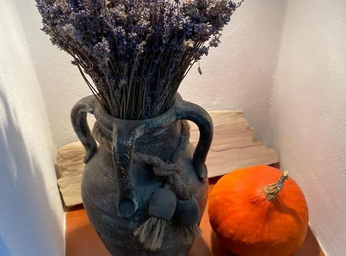 Pod Hradbami ゲストハウス 3*