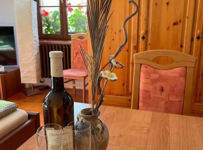 Pod Hradbami ゲストハウス プラハティツェ