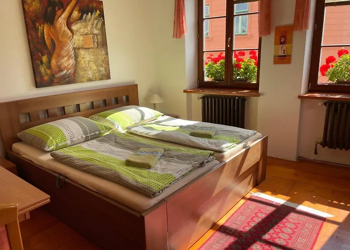 ゲストハウス Pod Hradbami 3*