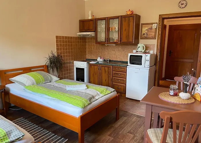 Pod Hradbami ゲストハウス プラハティツェ